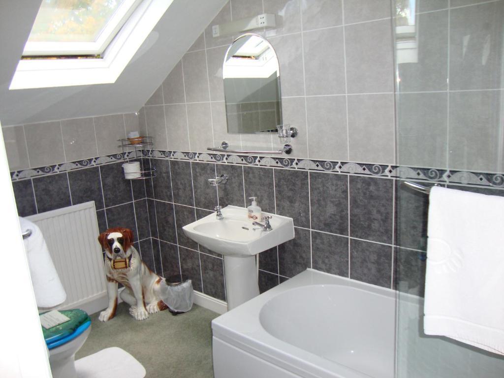 Sherwood Hotel - B&B Harrogate Dış mekan fotoğraf